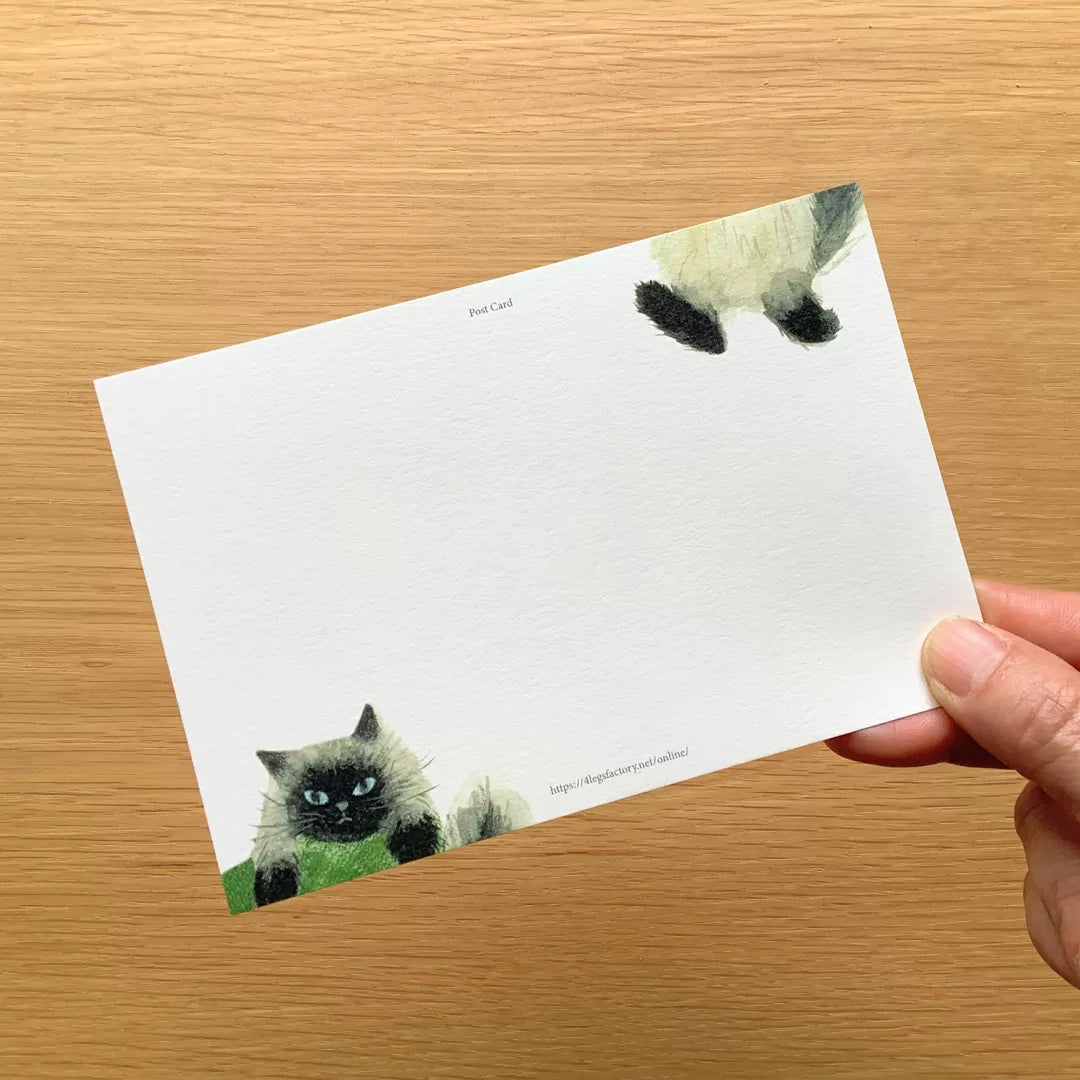 [4legs] Me and My Cat postcard