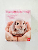 [Bandai] Mofu Mofu Tenori Friends Series 2 - Animals Figure Box (limited release • no restock)