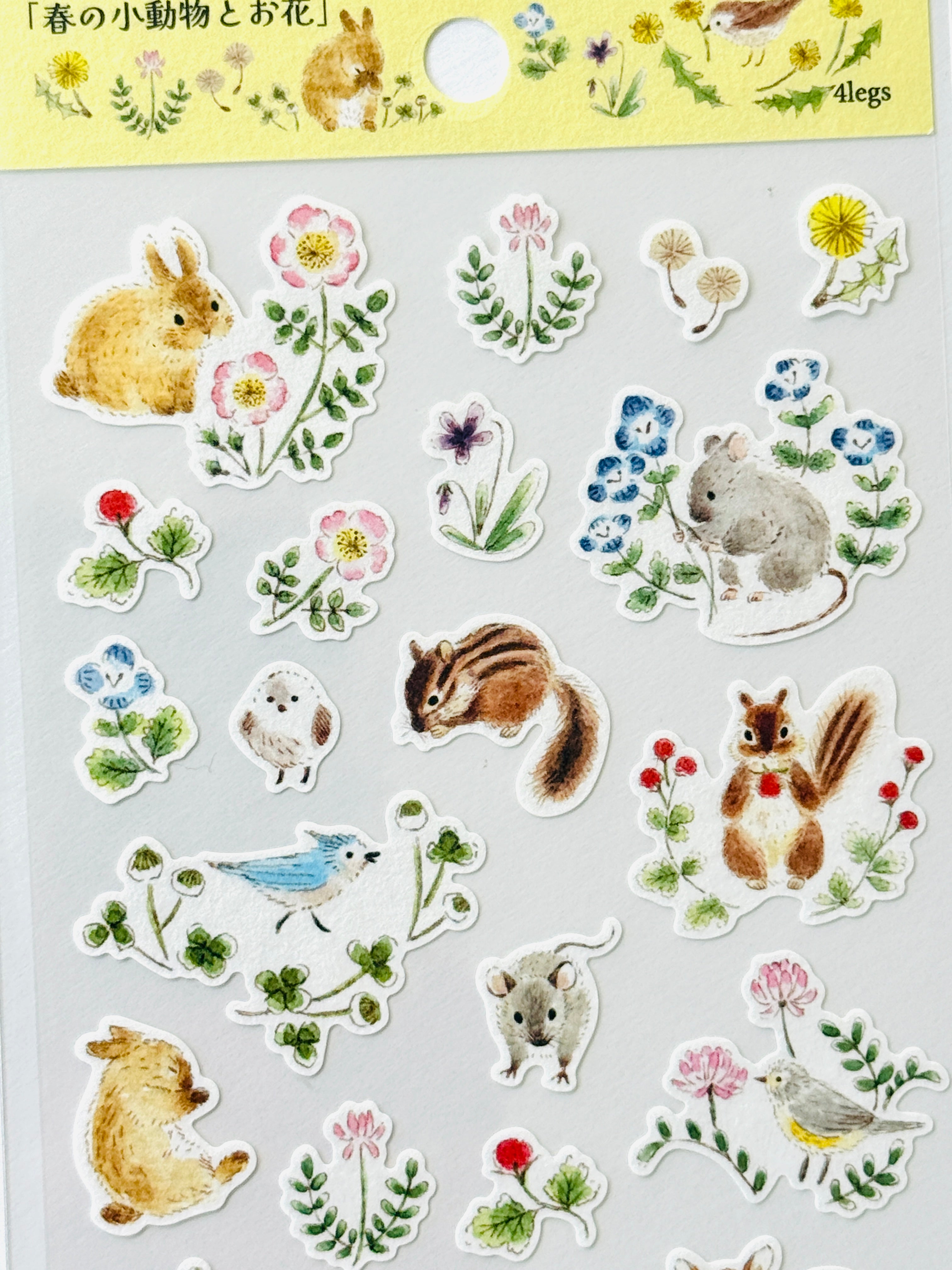 [4legs] Active Corp collaboration x Small Animals in Spring sticker sheet