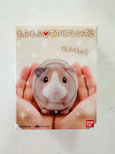 [Bandai] Mofu Mofu Tenori Friends Series 2 - Animals Figure Box (limited release • no restock)