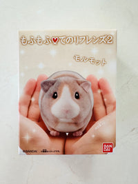 [Bandai] Mofu Mofu Tenori Friends Series 2 - Animals Figure Box (limited release • no restock)