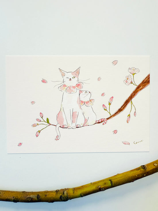 [TOCORO COMUGI] Nyanko on the Cherry Blossom Tree postcard