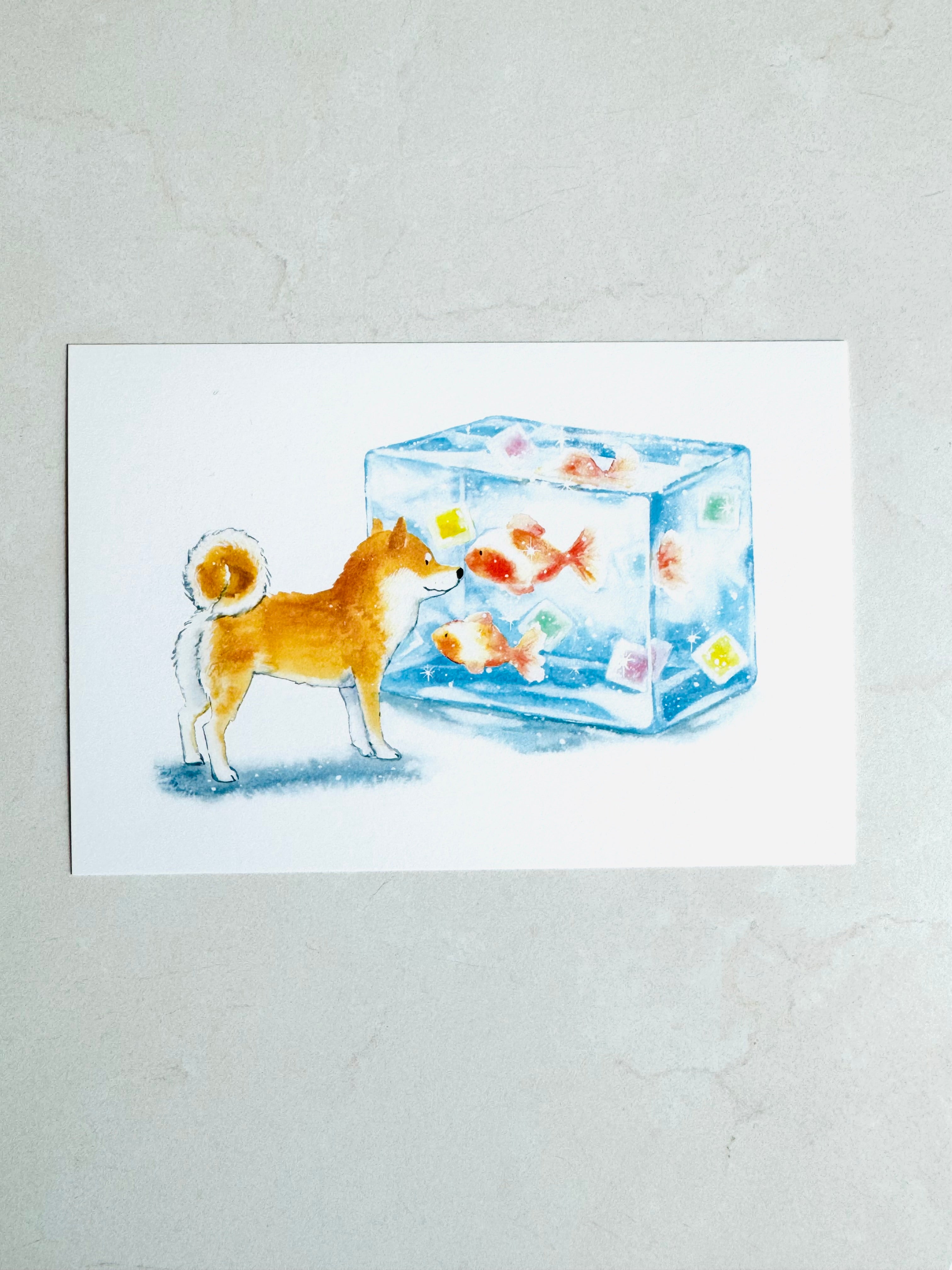 [Natsuka Murata] Shiba Delicious Summer series: Goldfish Jelly postcard