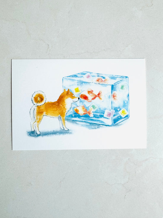 [Natsuka Murata] Shiba Delicious Summer series: Goldfish Jelly postcard