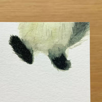 [4legs] Me and My Cat postcard