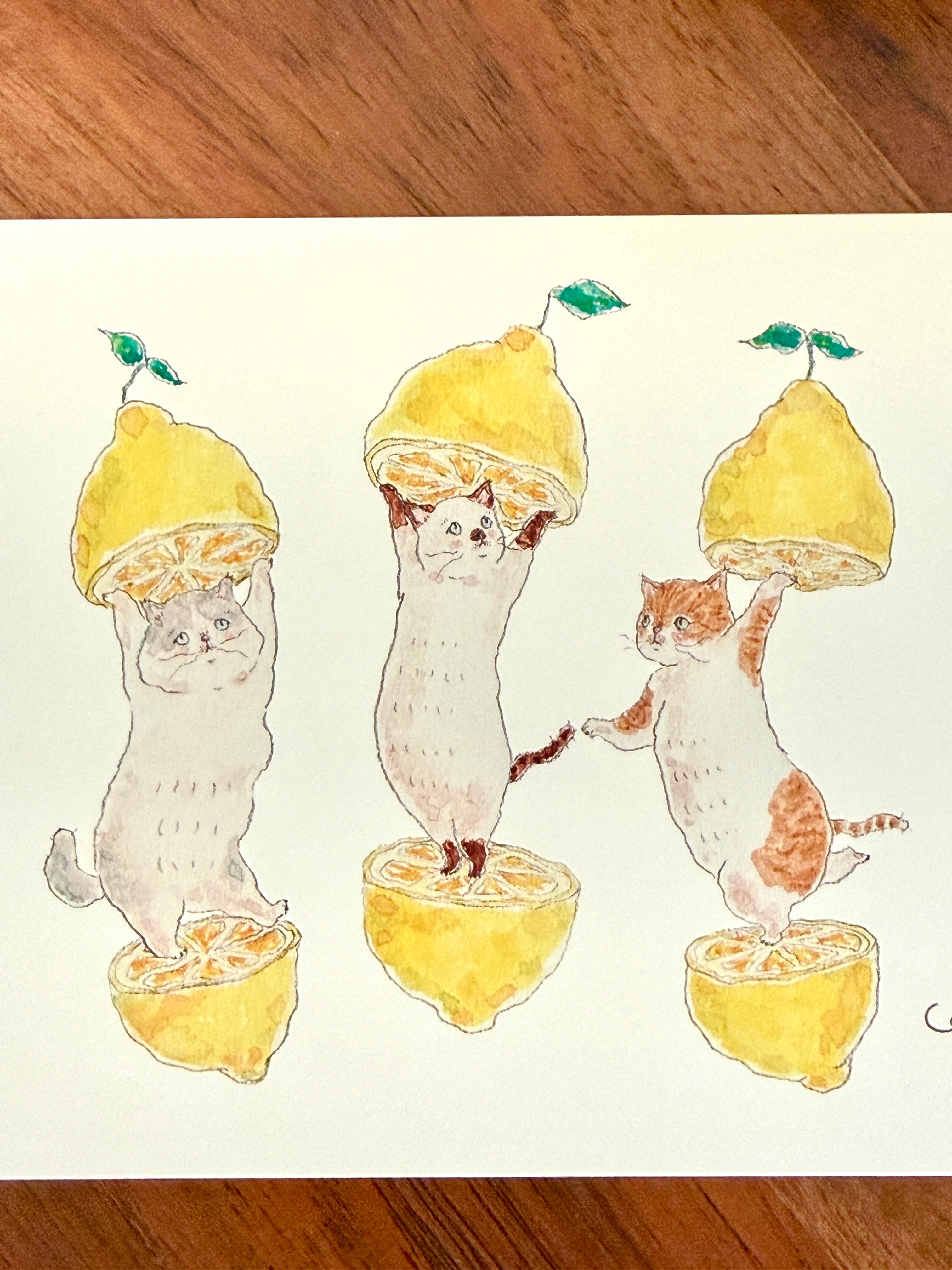 [TOCORO COMUGI] Lemon Squeezy Cats postcard