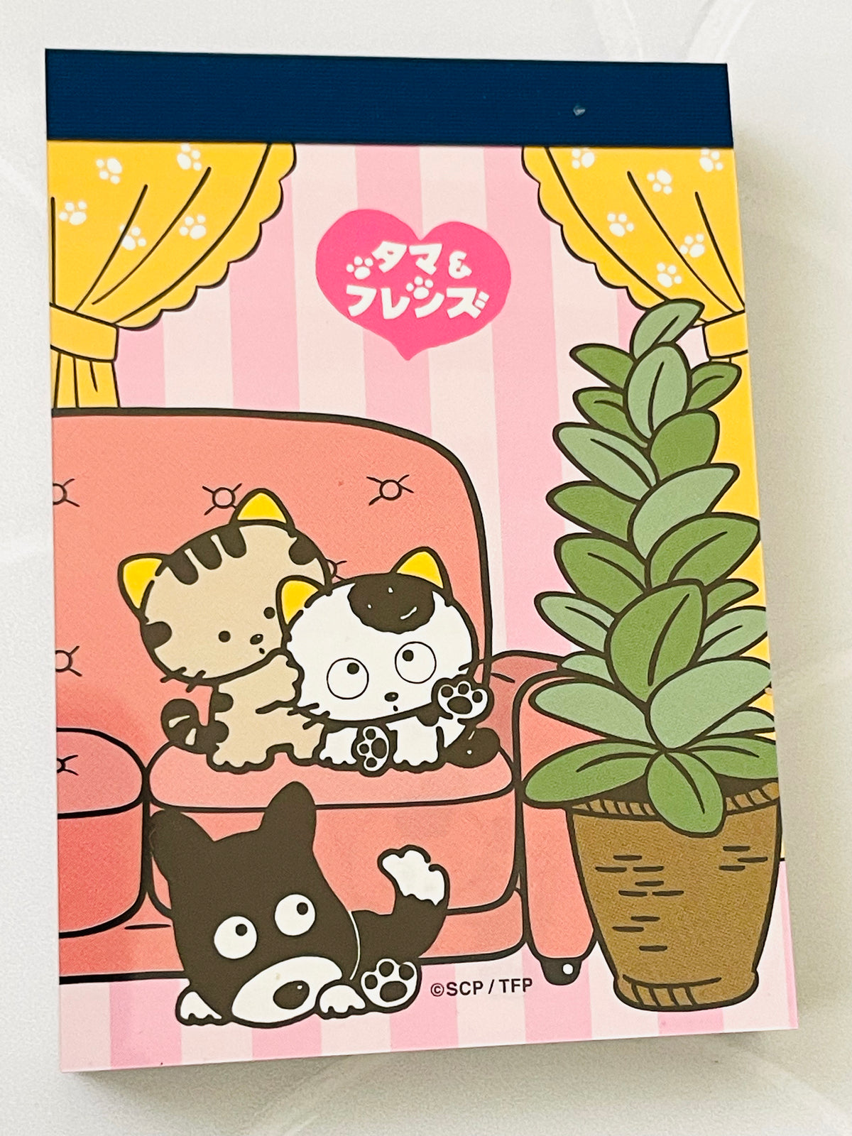 Tama & Friends