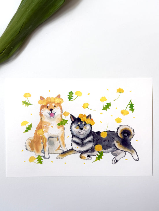 [Natsuka Murata] Shiba Inu & Dandelions postcard
