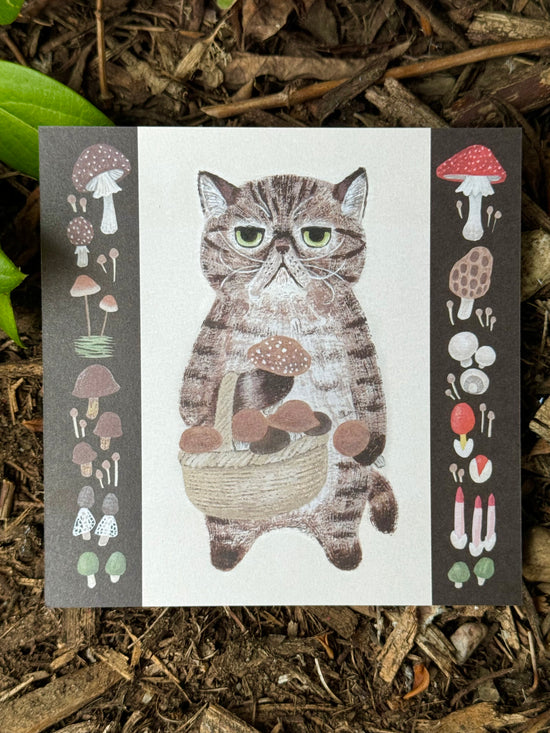 [4legs] Grumpy Cat & Wild Mushrooms memo set