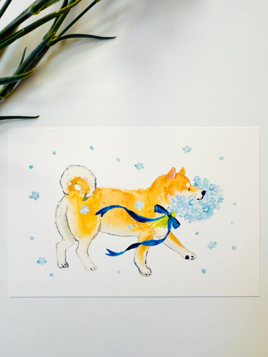 [Natsuka Murata] Shiba Inu & Baby Blue Eyes (Nemophila) postcard