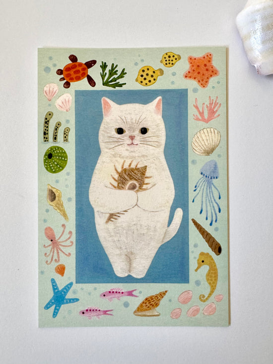 [4legs] Seashell Cat postcard