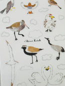 [SEAL-DO] Shinzi Katoh x Kira Kira Hologram Layer sticker sheet: Aurora Borealis Magic Hour • Migratory Birds of the World