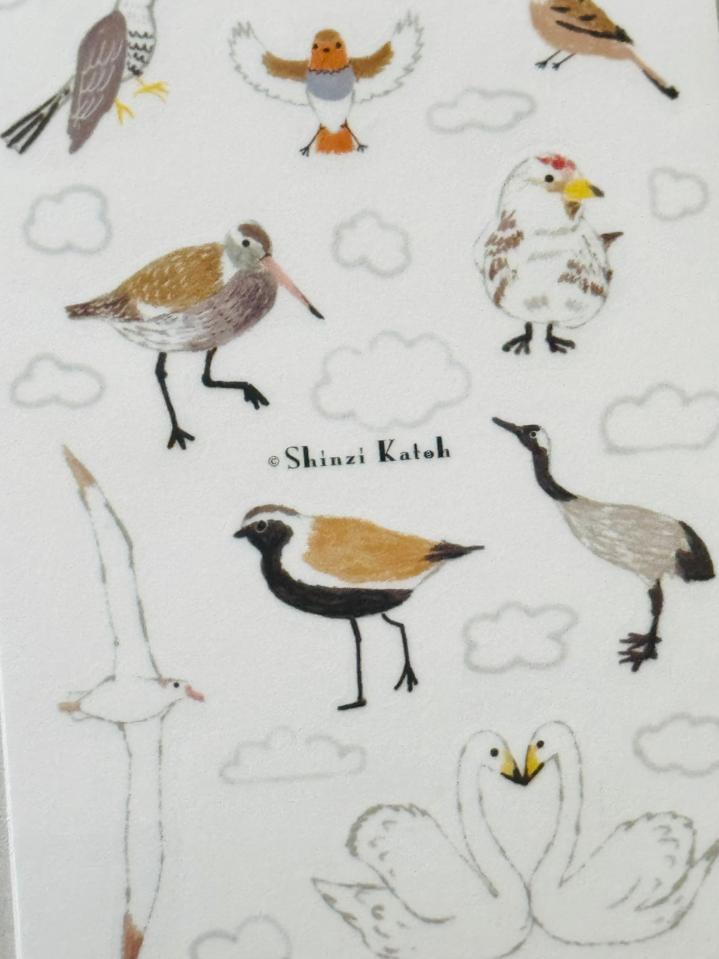 [SEAL-DO] Shinzi Katoh x Kira Kira Hologram Layer sticker sheet: Aurora Borealis Magic Hour • Migratory Birds of the World