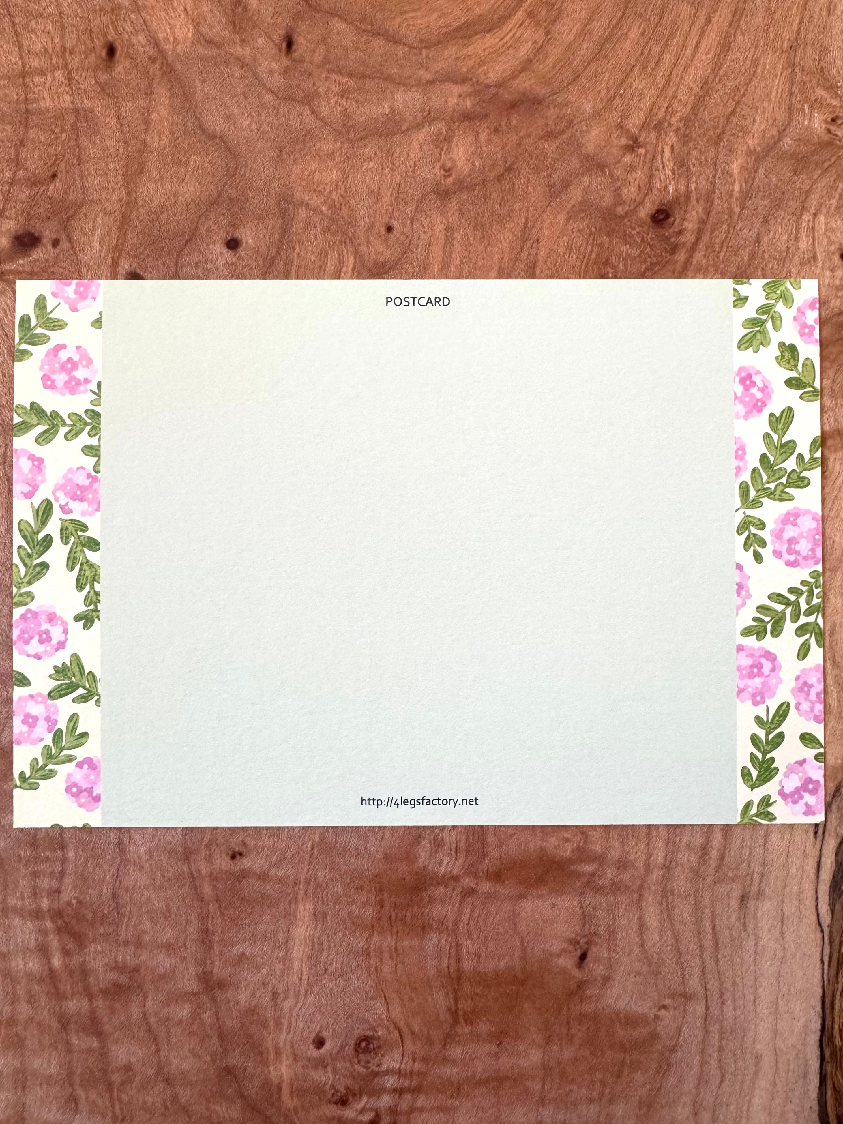 [4legs] Kijitora & Spring Blooms postcard