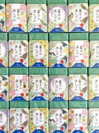 [PLUS] 2025 Mt. Fuji Green Air-In Eraser • spring limited release