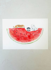 [Natsuka Murata] Shiba Delicious Summer series: Watermelon postcard