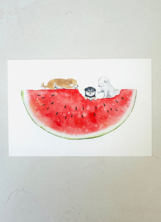 [Natsuka Murata] Shiba Delicious Summer series: Watermelon postcard