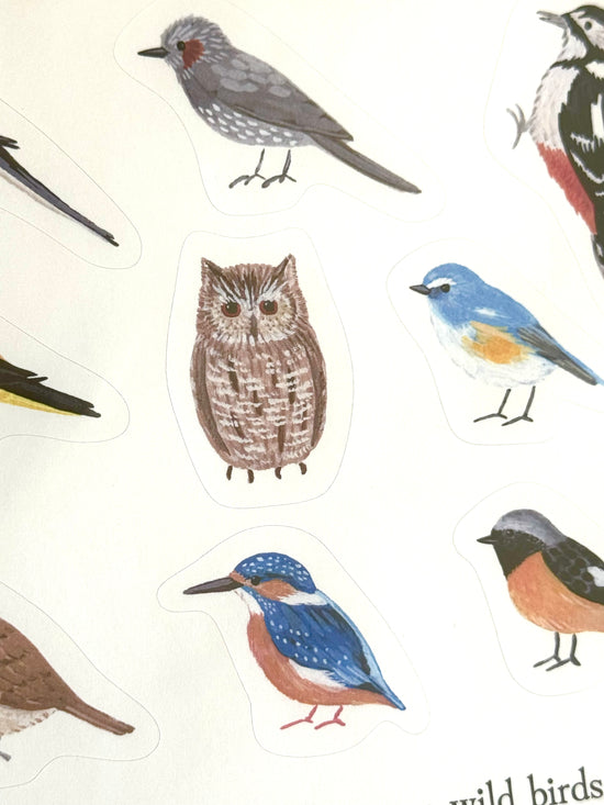 [4legs] Wild Birds sticker sheet