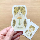 [4legs] Tan Cat + Gerbera Daisy mini message card