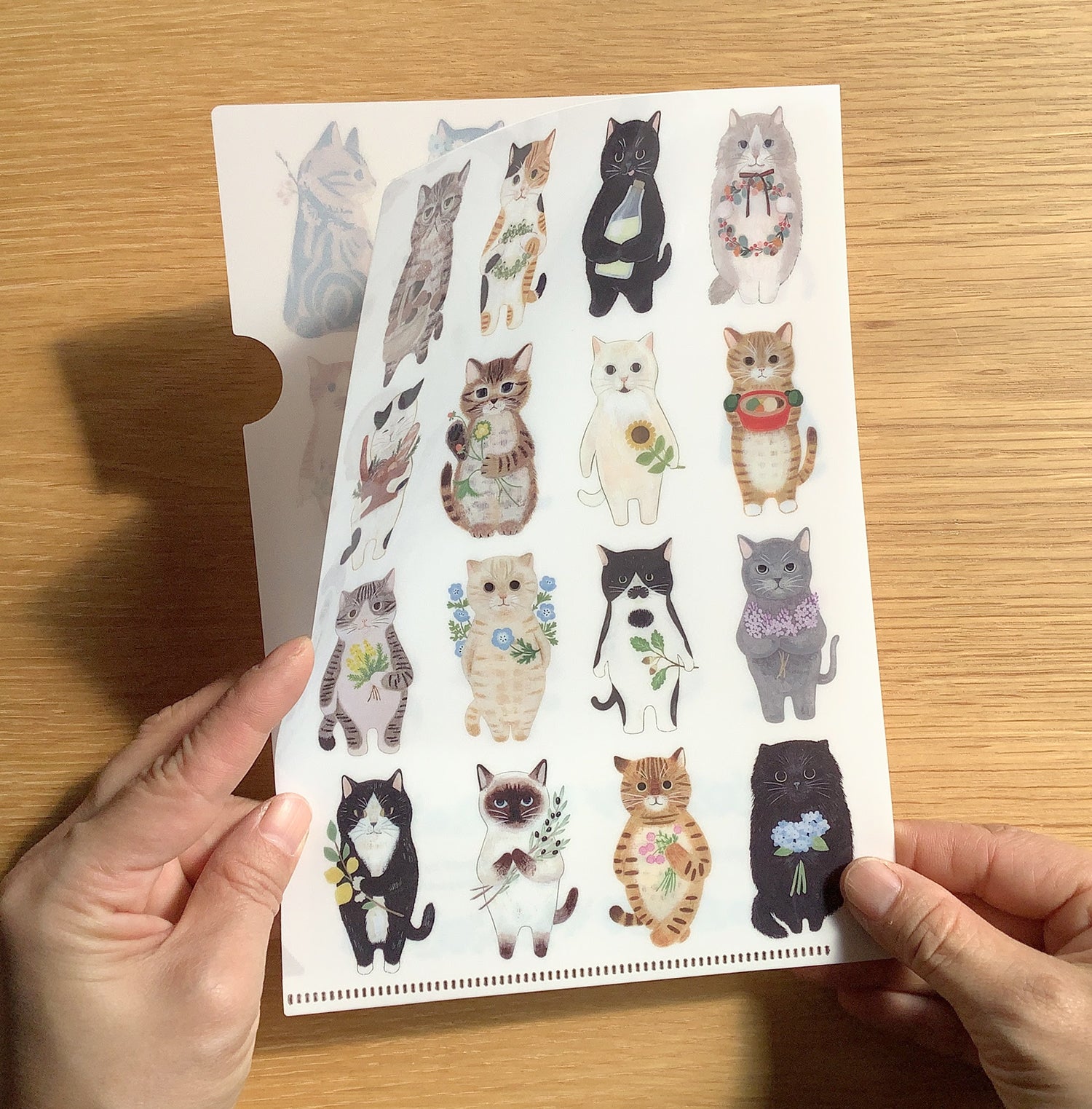 [4legs] Favorite Cats A5 File Folder