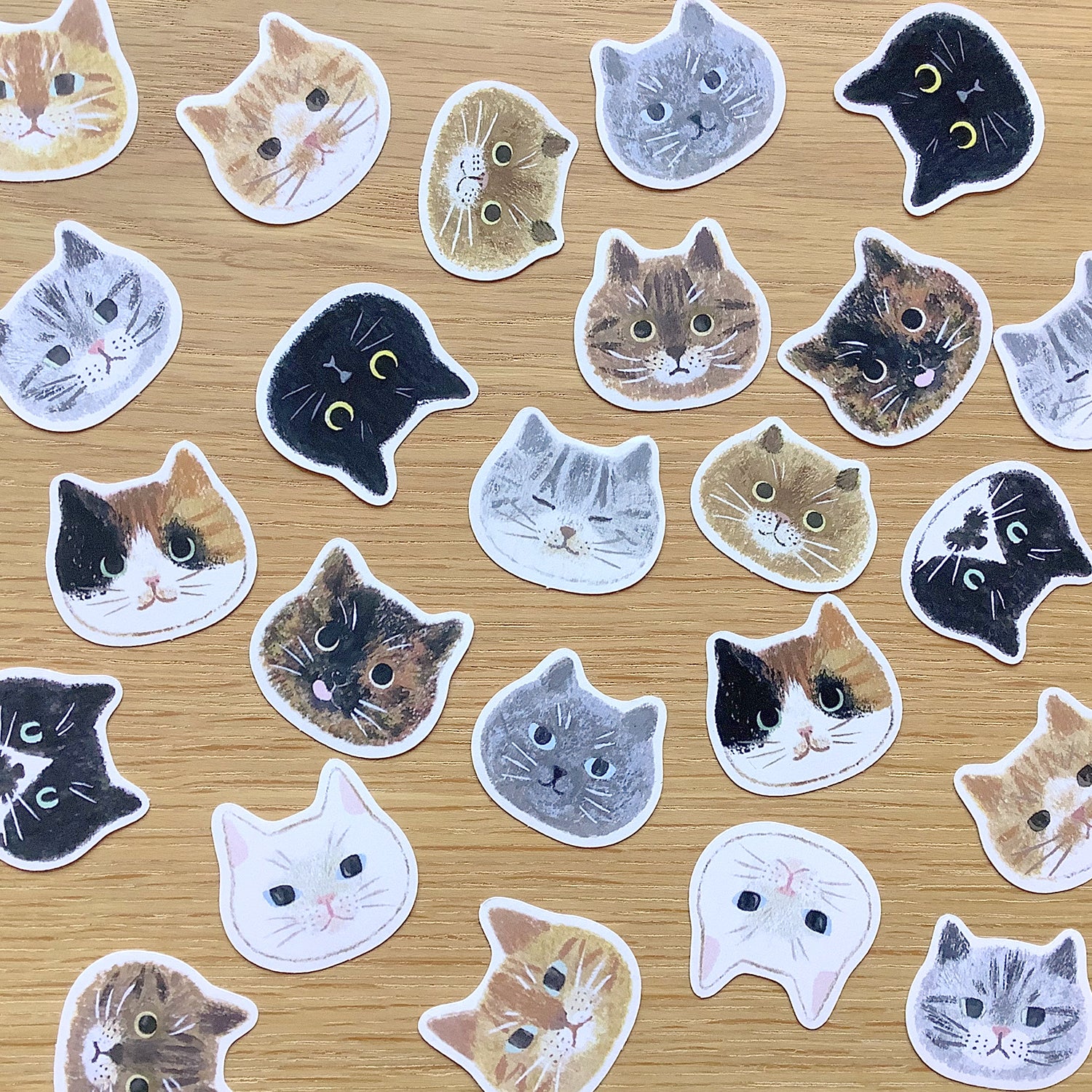 [4legs] Cat Faces flake sticker pack