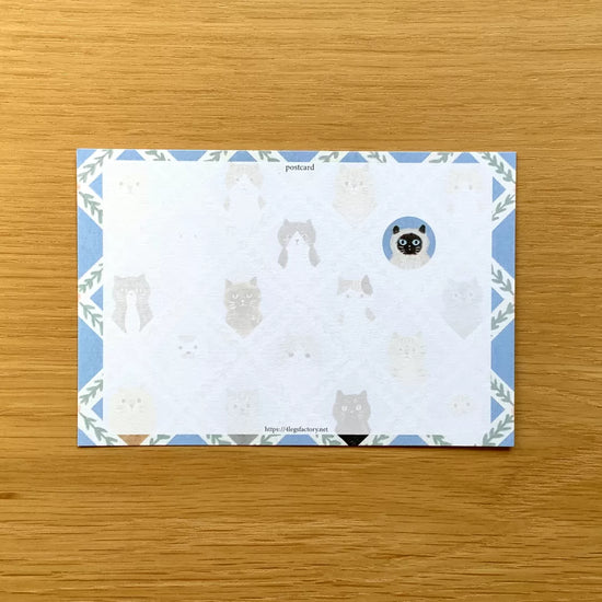 [4legs] Cat Faces postcard