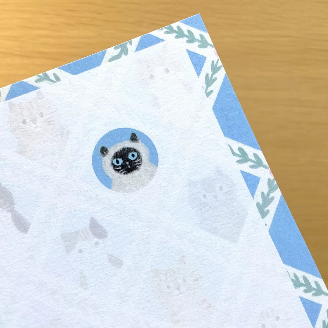 [4legs] Cat Faces postcard