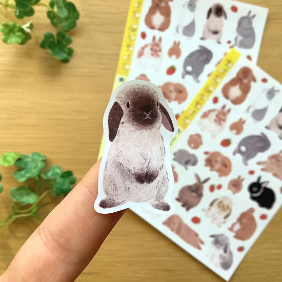 [4legs] Spring Rabbit sticker sheet