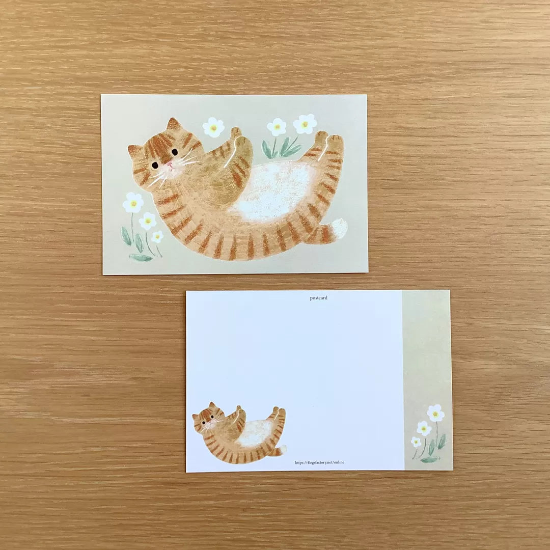 [4legs] White Blooms Tabby Cat postcard
