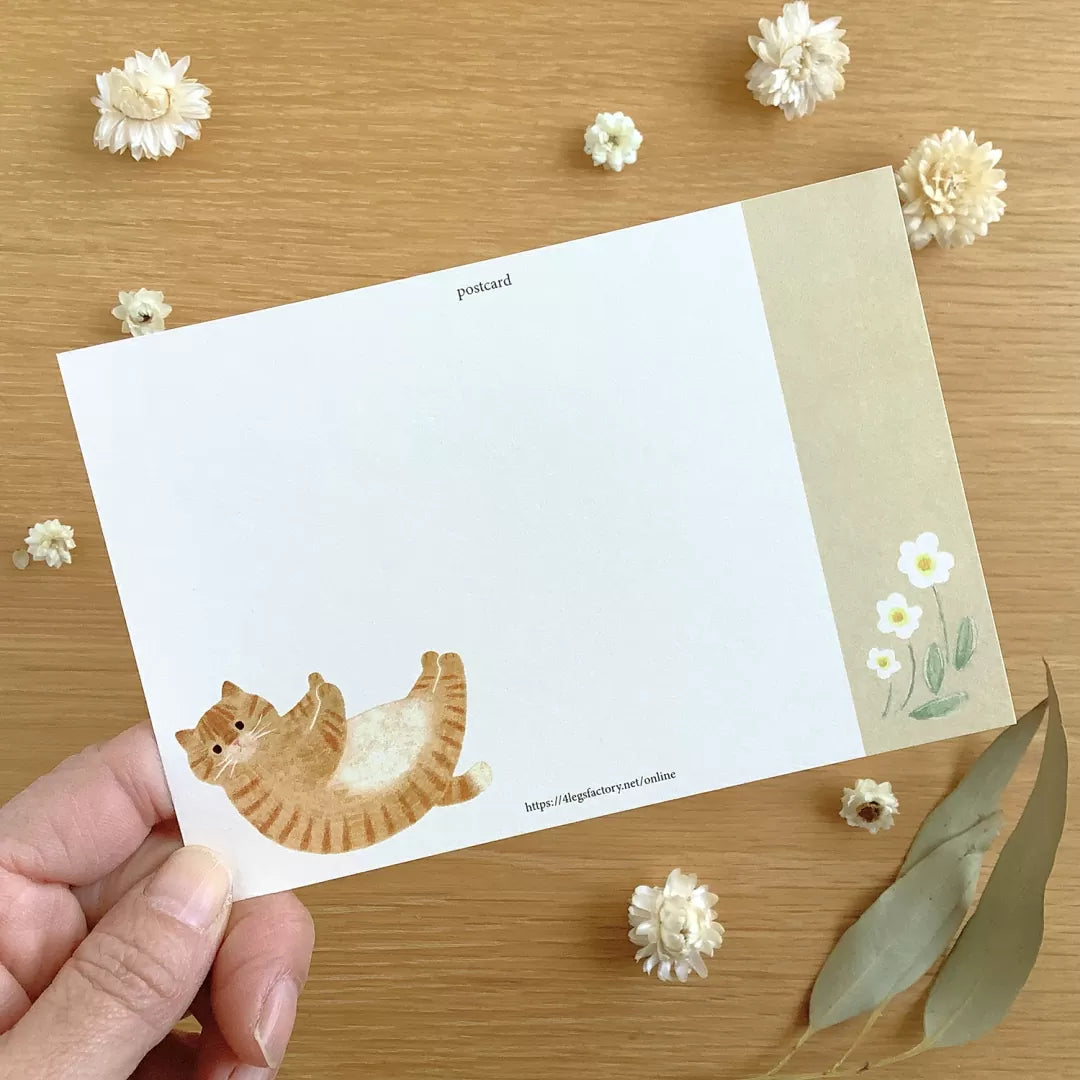 [4legs] White Blooms Tabby Cat postcard