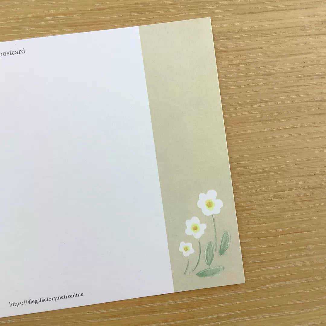 [4legs] White Blooms Tabby Cat postcard