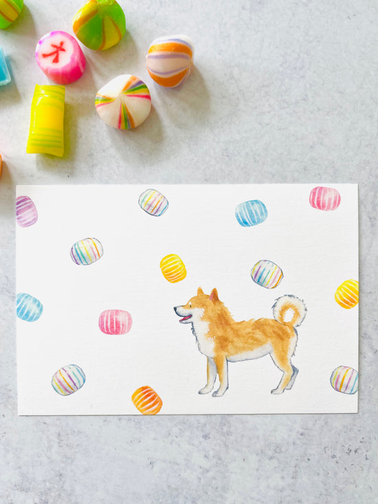 [Natsuka Murata] Shiba Snack series: Temari Candy postcard