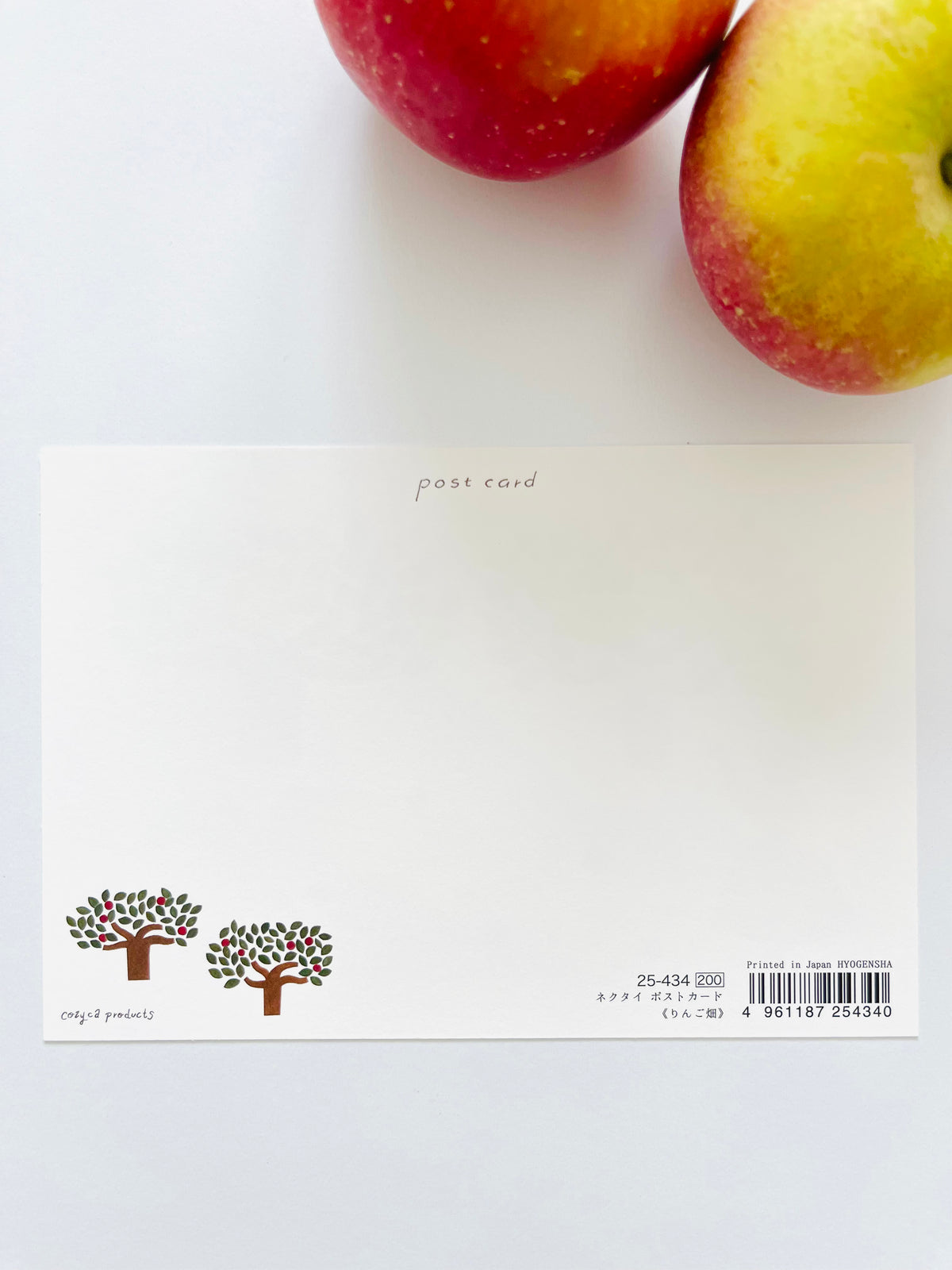 Spring 2023 postcard collection x Necktie