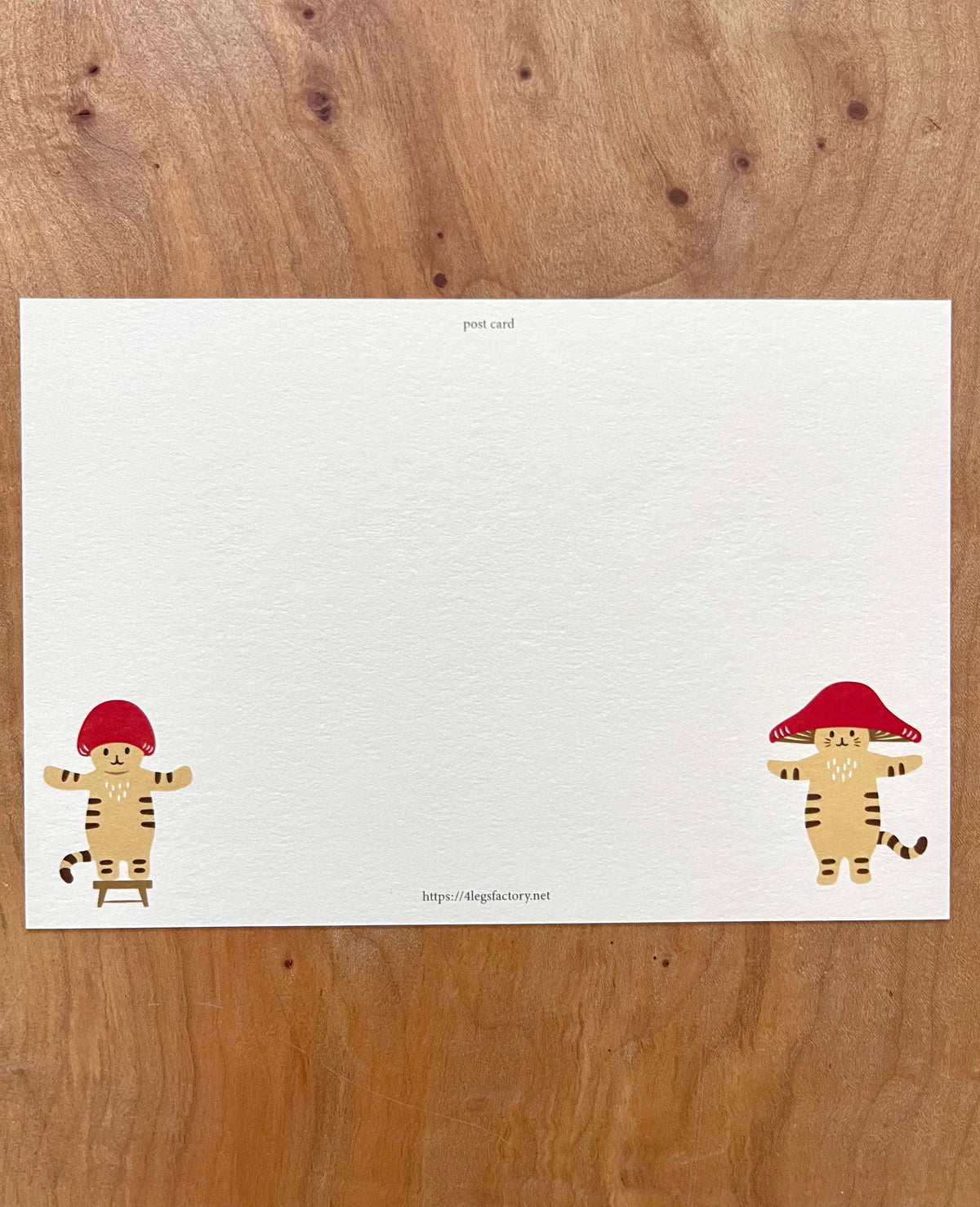 mushroom cat: Connection