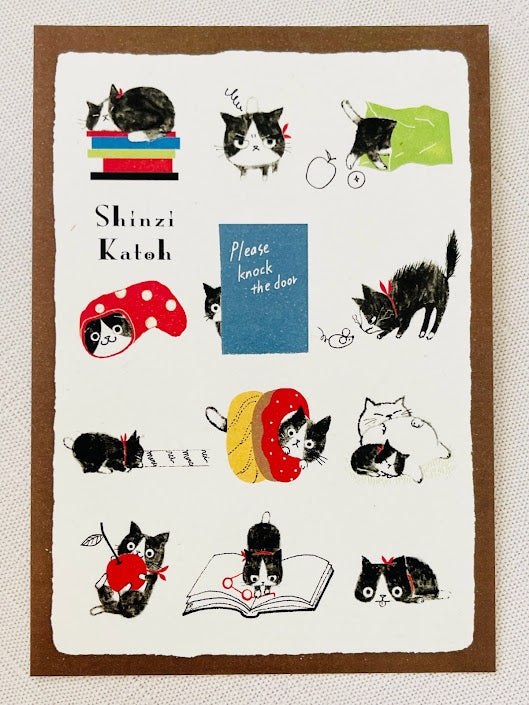 Chaton Cat