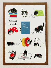 Chaton Cat