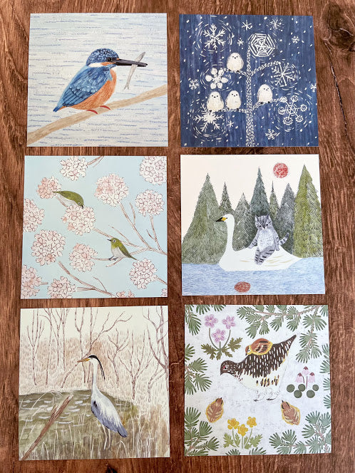 [4legs] Wild Birds loose memo set (56 sheets)