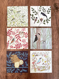[4legs] Wild Birds loose memo set (56 sheets)