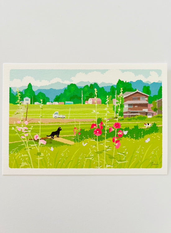 [Tabineko] Early Summer Light (2017) postcard x Toshinori Mori