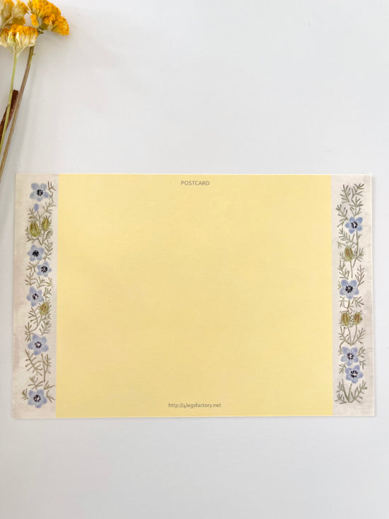 [4legs] Abyssinian & Love-in-a-Mist postcard