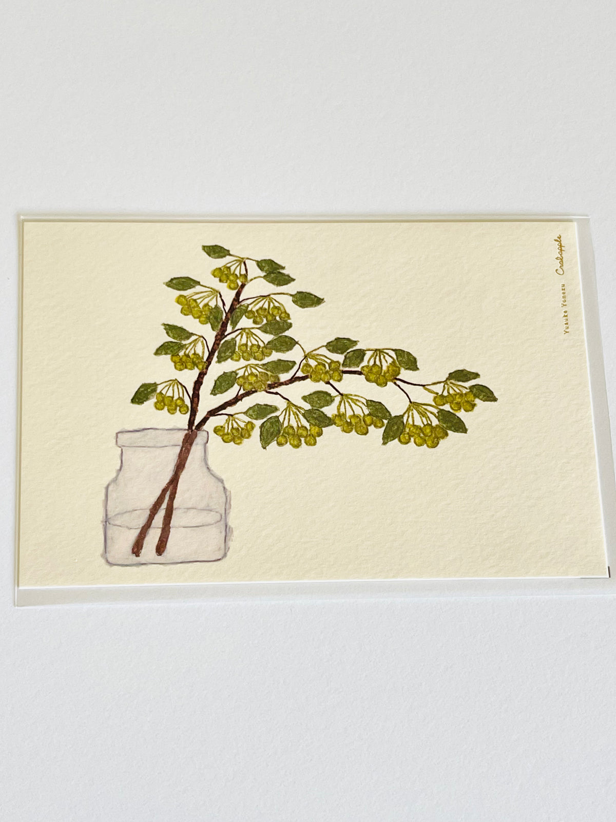 Yusuke Yonezu: Postcard Collection (remaining inventory • no restock due to overseas restrictions)