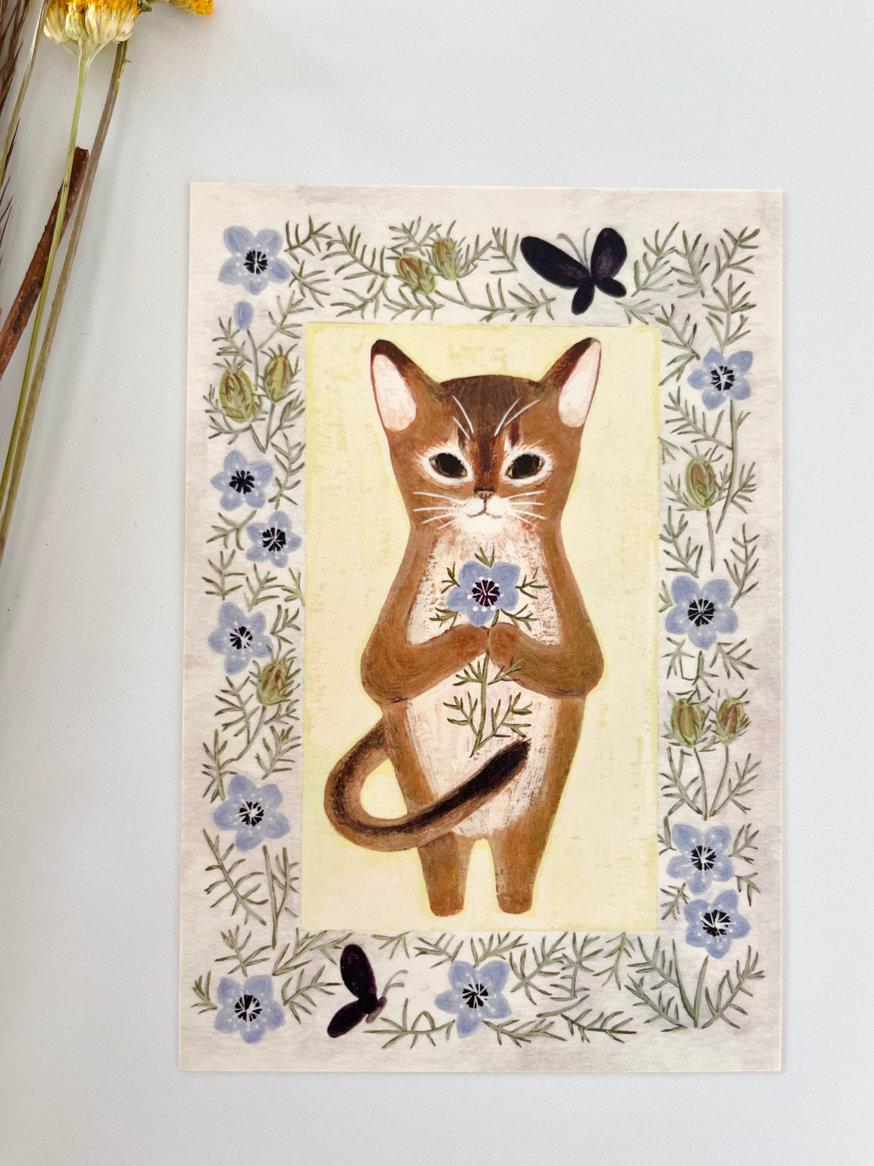 [4legs] Abyssinian & Love-in-a-Mist postcard