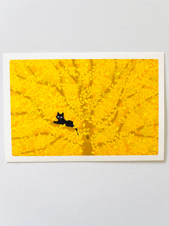 [Tabineko] Hidden in the Leaves (2011) postcard x Toshinori Mori