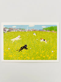 [Tabineko] Field Blossom Dance (2019) postcard x Toshinori Mori