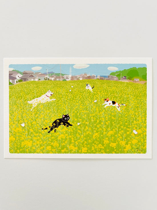 [Tabineko] Field Blossom Dance (2019) postcard x Toshinori Mori