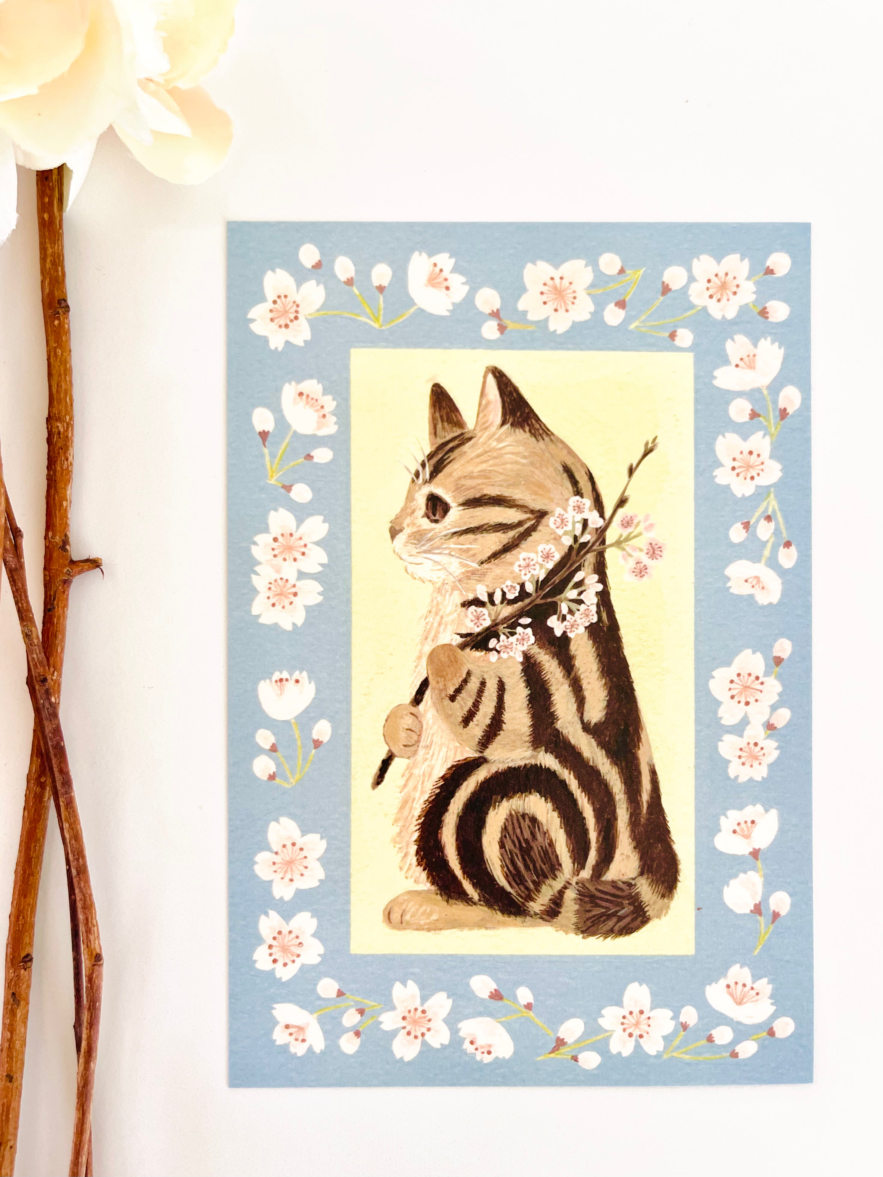 [4legs] American Shorthair & Cherry Blossom postcard