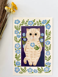 Cream Cat & Baby Blue Eyes