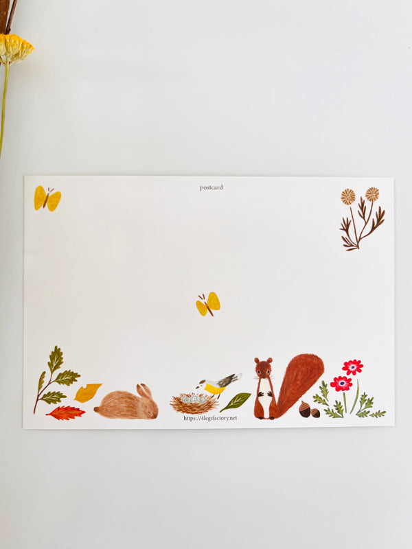 Animals in the Forest
