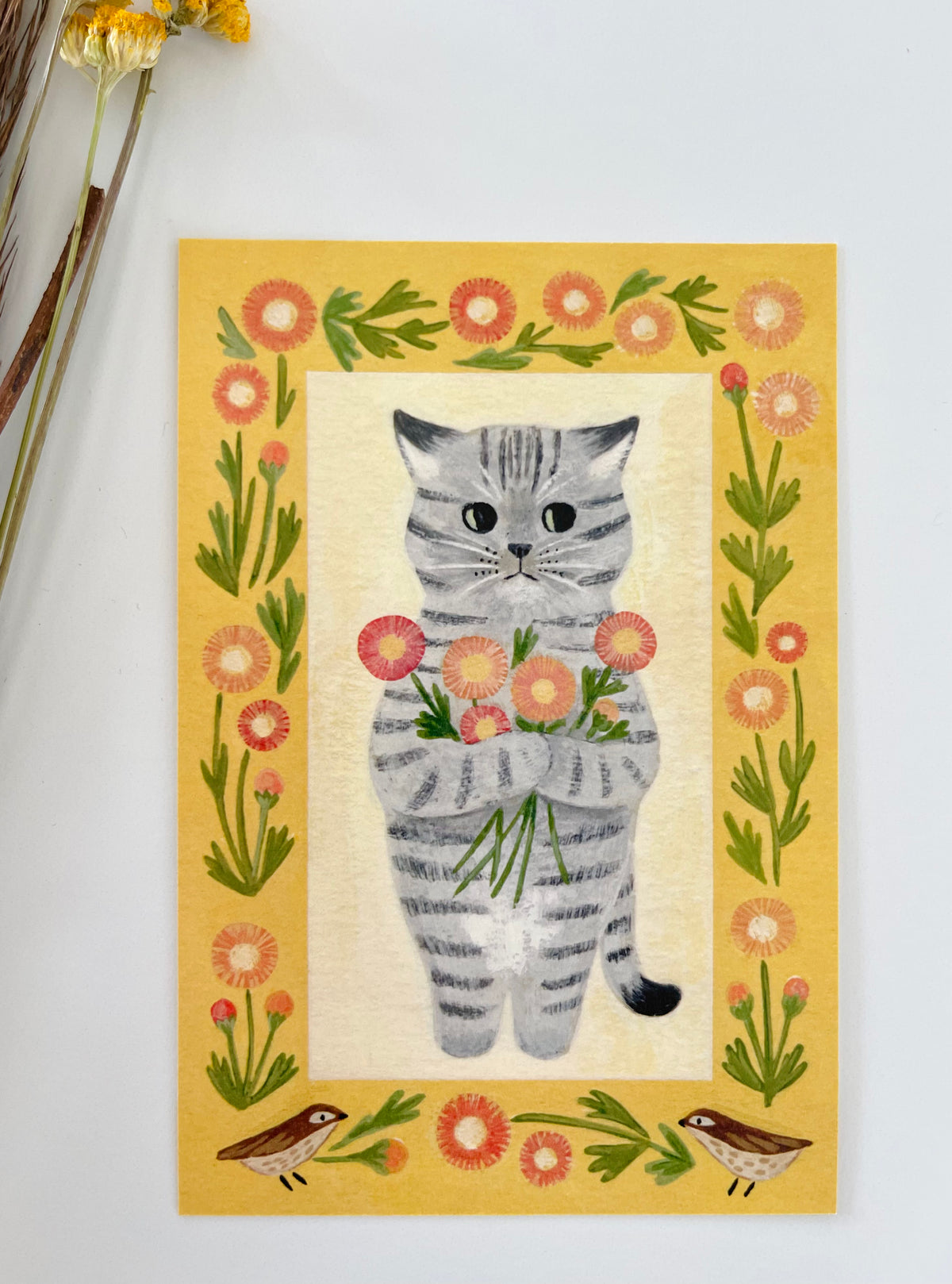 Mackerel Tabby & Gerbera Daisy