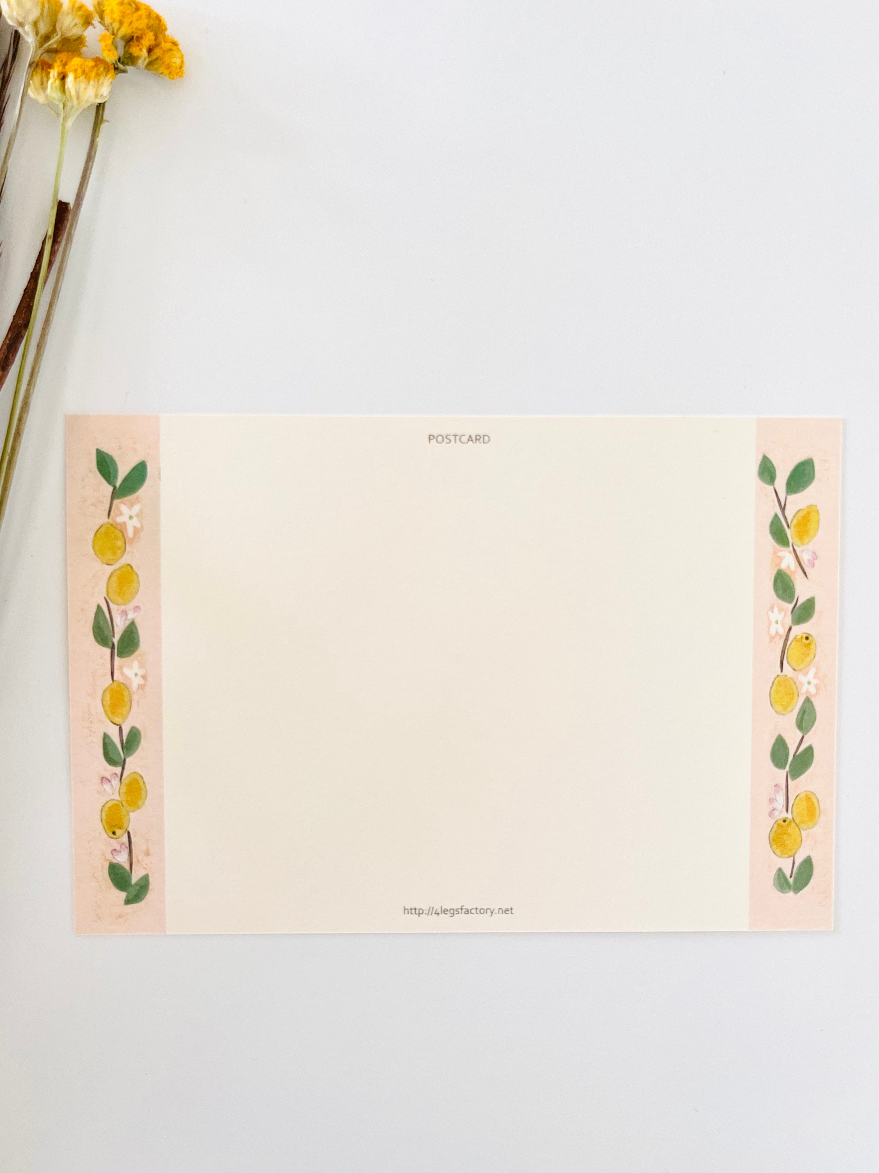 [4legs] Tuxedo & Lemon postcard